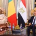 Egypt, Mali discuss expanding co-operation in health, education