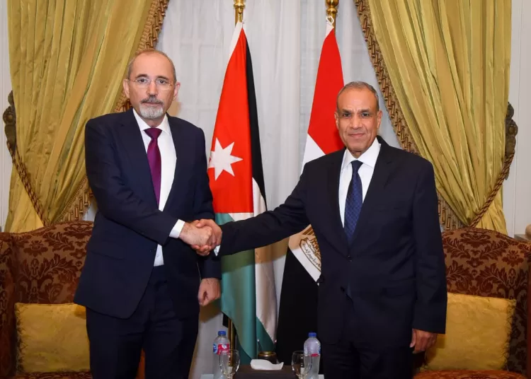 FM, Jordanian counterpart probe ties, regional developments 12 - Egyptian Gazette