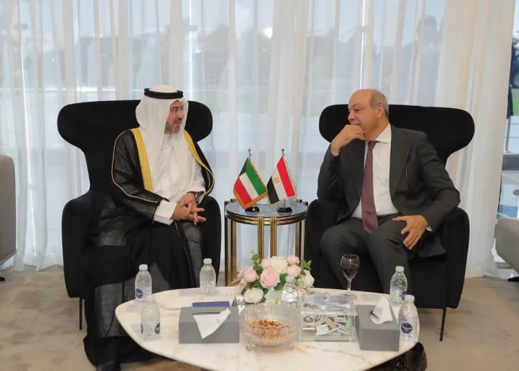 Egypt boosts civil aviation ties with Arab, African nations 12 - Egyptian Gazette