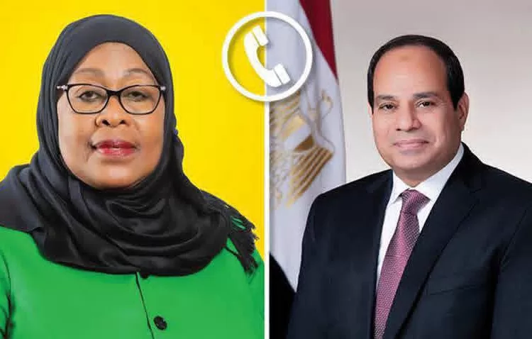 Sisi reiterates Egypt’s support for Tanzania’s development 12 - Egyptian Gazette
