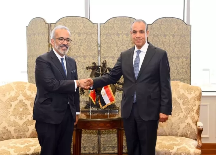 FM, Portuguese counterpart probe bilateral ties, regional developments 11 - Egyptian Gazette