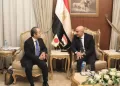 Egypt, Japan strengthen strategic educational partnership