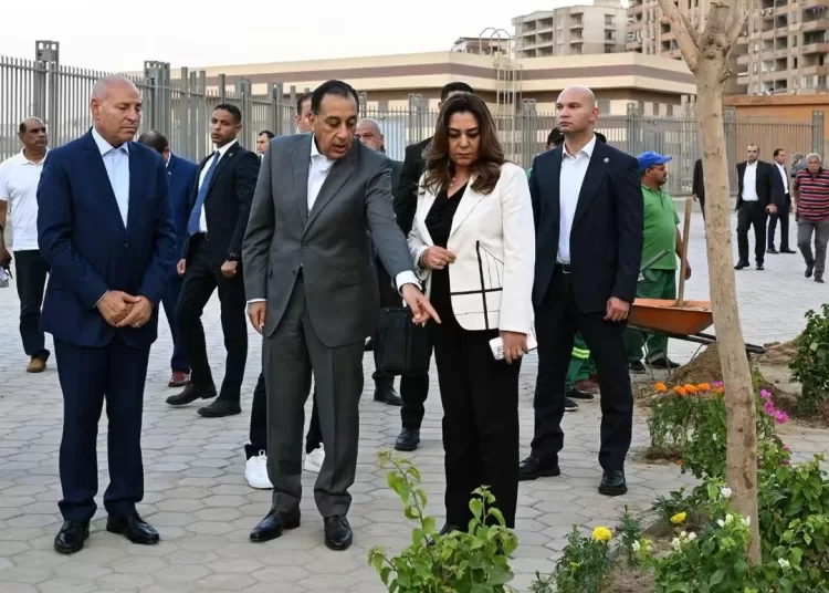 Egypt accelerates efforts to green Greater Cairo 10 - Egyptian Gazette