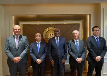 Egypt, Japan probe advancing strategic partnership