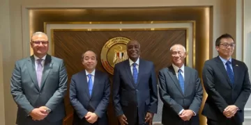 Egypt, Japan probe advancing strategic partnership