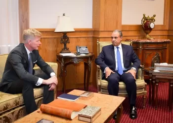 Egypt backs comprehensive political settlement in Yemen