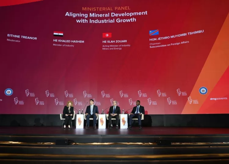 Egypt seeks to boost value of mineral resources 11 - Egyptian Gazette
