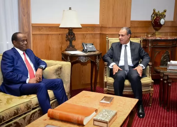 Egypt, Eritrea discuss expanding trade, investment ties 12 - Egyptian Gazette Egypt, Eritrea discuss expanding trade, investment ties 11 - Egyptian Gazette