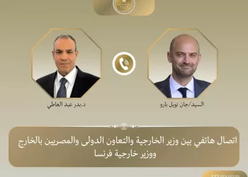 Egypt, France FMs discuss efforts to de-escalate regional tensions