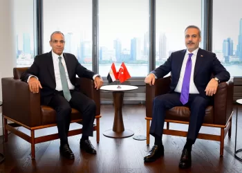 FM-Turkish