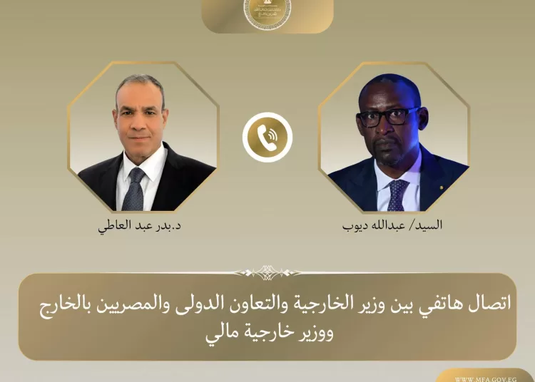 Egypt, Mali call for intensified efforts to combat terrorism in West Africa 11 - Egyptian Gazette