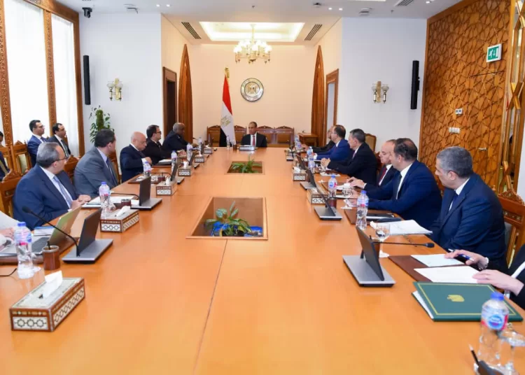 Egypt to host key African meetings in Alamein 11 - Egyptian Gazette