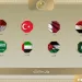 Arab foreign ministers call for full implementation of Gaza plan