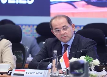 Egypt calls for stronger financial co-operation among BRICS members