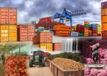 NFSA: 230,000 tonnes of food products exported in one week
