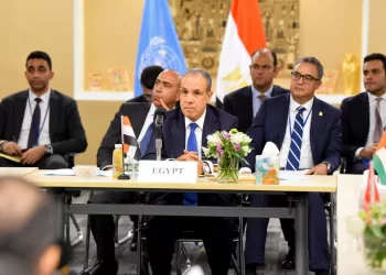 Egypt FM stresses urgent need to end Gaza war