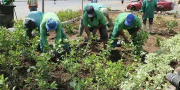 Cairo to plant hope where development leaves gaps