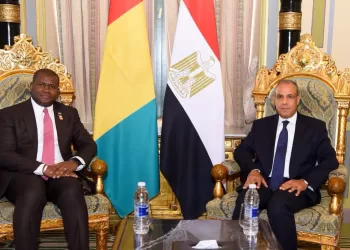 Egypt, Guinea deepen economic, investment ties