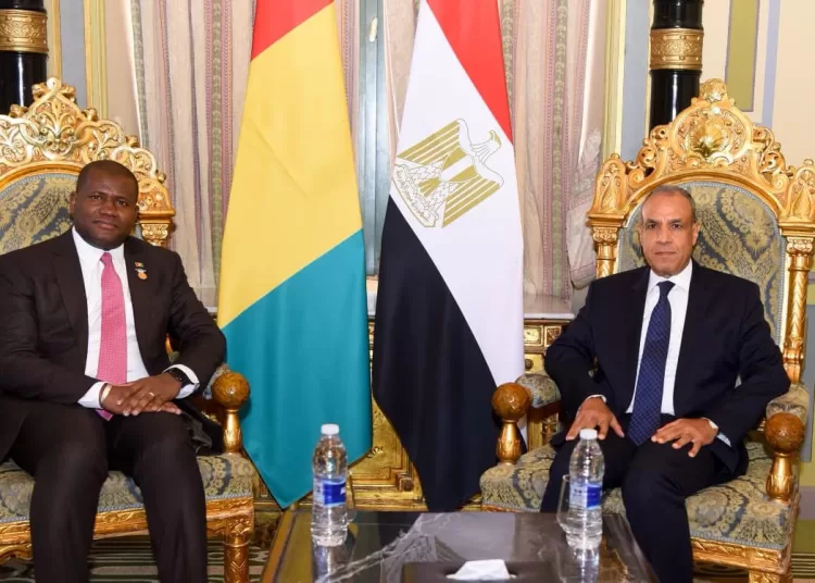 Egypt, Guinea deepen economic, investment ties 11 - Egyptian Gazette