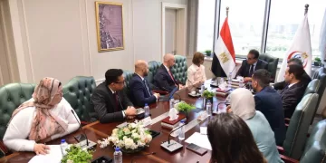 Egypt seeks to localise medical device manufacturing