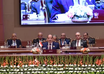 Sisi urges BRICS nations to turn potential into action