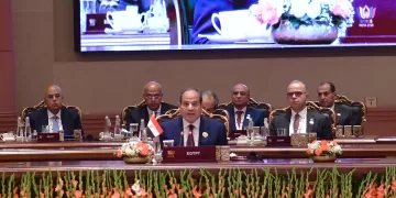 President Sisi urges BRICS nations to turn potential into action