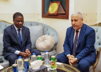 Egypt, Côte d’Ivoire promote press, media co-operation