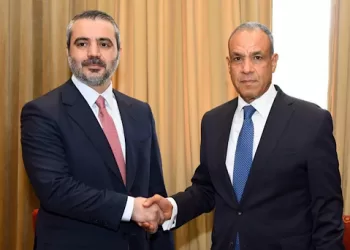 Egypt, Syria boost bilateral relations, discuss regional developments