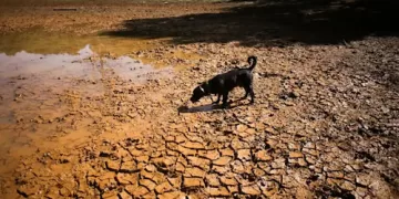 US agency warns 75% chance of historic El Niño 1 - Egyptian Gazette US agency warns 75% chance of historic El Niño