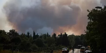 France reports 817 heatwave deaths over 25 days