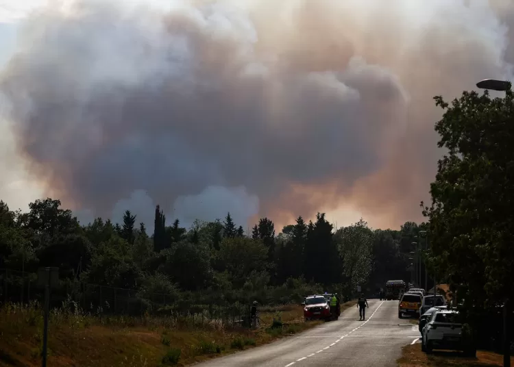 France reports 817 heatwave deaths over 25 days 10 - Egyptian Gazette