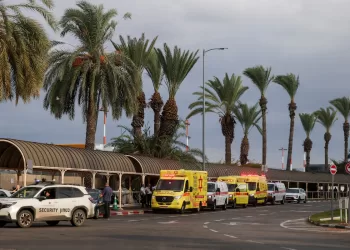 Netanyahu: Passengers overcame co-pilot trying to crash flight