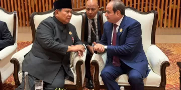 President Sisi, Indonesian leader discuss regional crises, bilateral ties