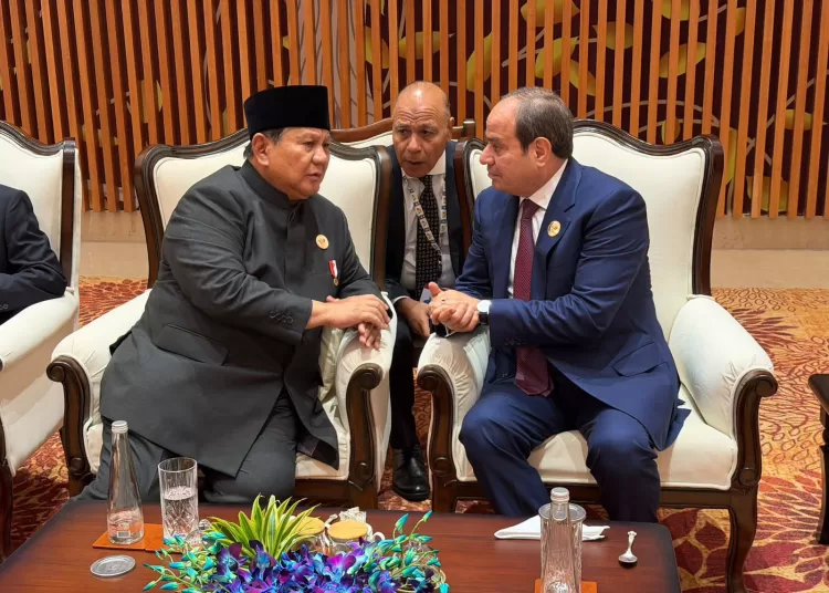 President Sisi, Indonesian leader discuss regional crises, bilateral ties 12 - Egyptian Gazette