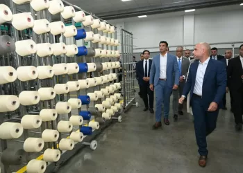 ‘Textile, spinning sector key target of Egypt’s industrial strategy’