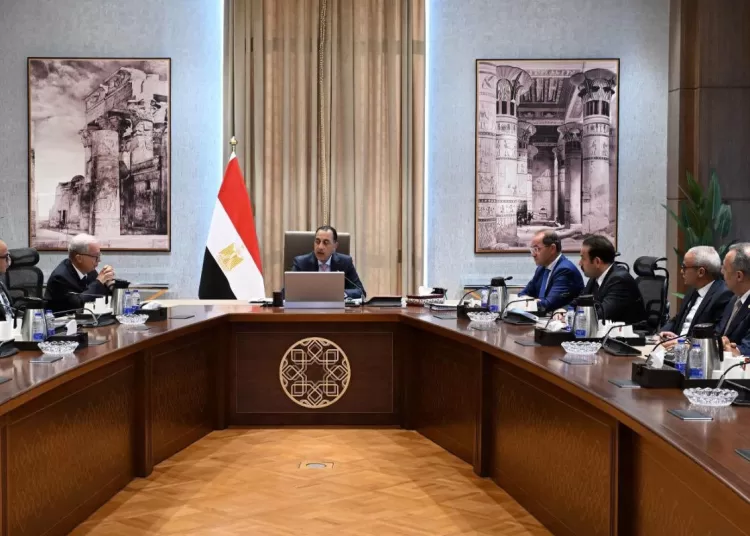 PM Madbouly reviews state-owned companies restructuring programme 11 - Egyptian Gazette