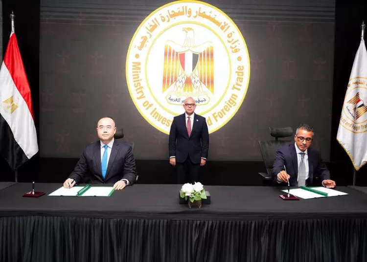 Egypt, China firms sign MoU on battery manufacturing 12 - Egyptian Gazette