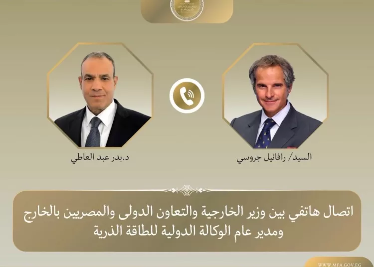 Egypt FM, IAEA chief discuss nuclear co-operation 11 - Egyptian Gazette