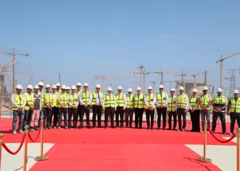 Egypt, Türkiye to boost co-operation in N. energy