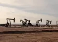 Oil