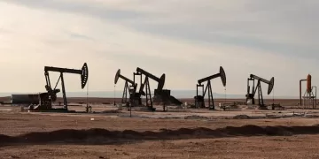 Oil