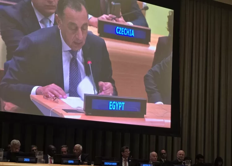 Egypt PM calls for fairer int’l financial system at UN meeting 12 - Egyptian Gazette
