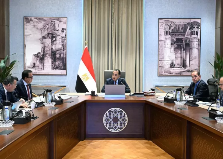 ‘Stocks of medicines, medical supplies in hospitals at reassuring levels’ 12 - Egyptian Gazette