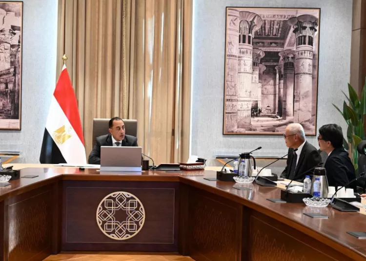 PM, Toyota Tsusho chief discuss expanding investments in Egypt 12 - Egyptian Gazette