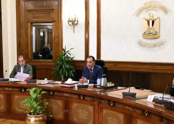 PM Madbouly highlights need to boost investment, production