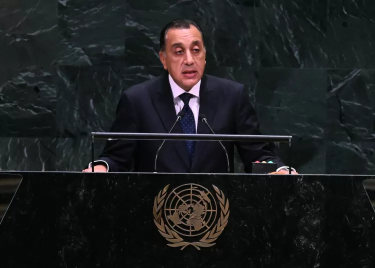 Egypt calls for global reset at UN assembly 11 - Egyptian Gazette