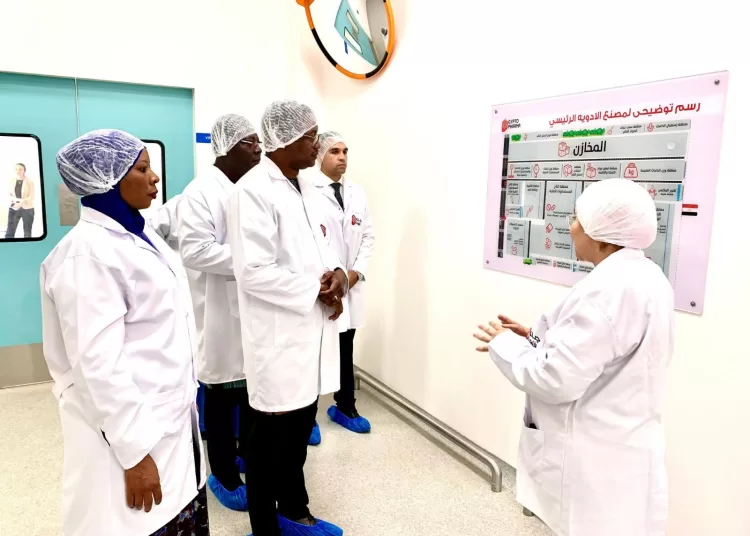 Burkina Faso eyes pharma co-operation with Egypt's Gypto Pharma 10 - Egyptian Gazette