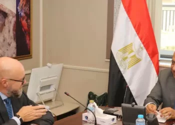 Egypt, AIIB explore partnership in electricity, renewable energy