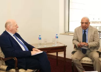 Egypt, Italy advance plans for 3,000MW power interconnection