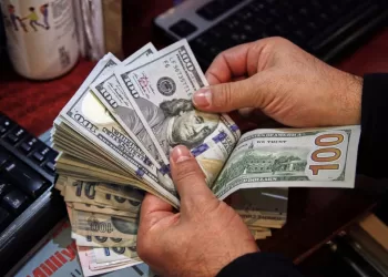 Egyptian expats’ remittances hit record $47.3b in 2025/2026